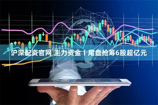 沪深配资官网 主力资金丨尾盘抢筹6股超亿元