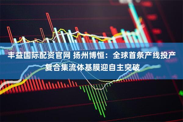 丰益国际配资官网 扬州博恒：全球首条产线投产 复合集流体基膜迎自主突破