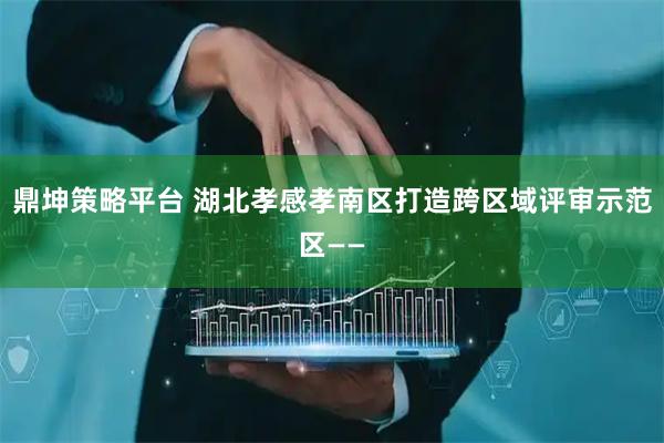 鼎坤策略平台 湖北孝感孝南区打造跨区域评审示范区——