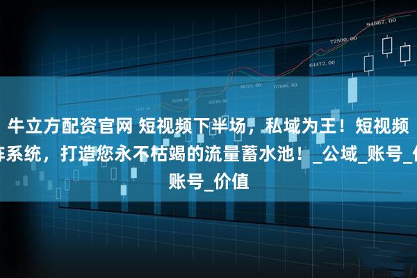 牛立方配资官网 短视频下半场，私域为王！短视频矩阵系统，打造您永不枯竭的流量蓄水池！_公域_账号_价值