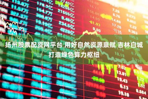 扬州股票配资网平台 用好自然资源禀赋 吉林白城打造绿色算力枢纽